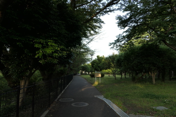 f0369014_13224201.jpg