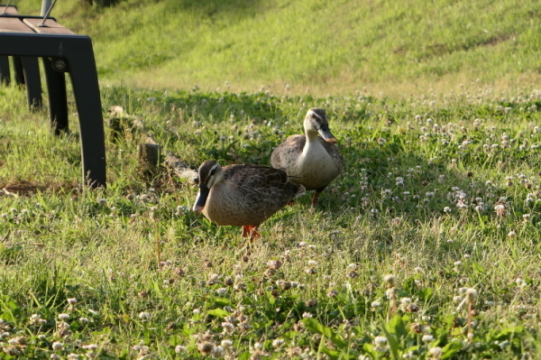 f0369014_13302375.jpg