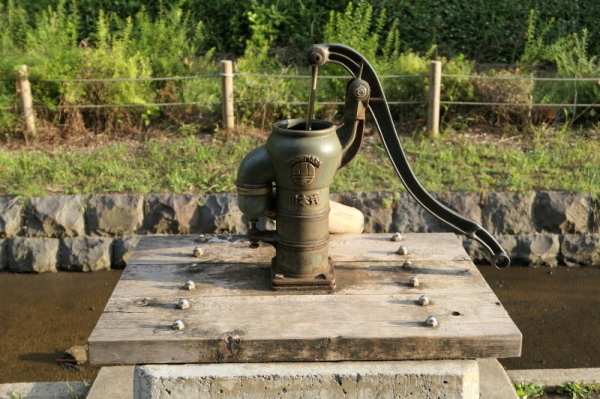 f0369014_13450350.jpg