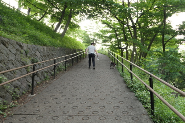 f0369014_13514306.jpg