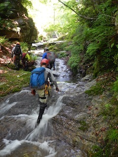 c0359615_21501244.jpg