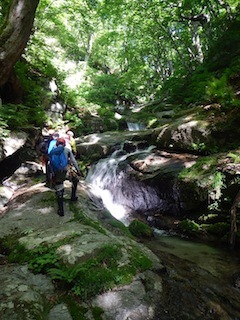 c0359615_21503498.jpg