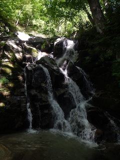 c0359615_21505392.jpg