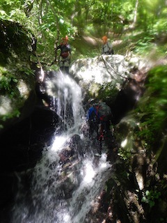 c0359615_21515302.jpg