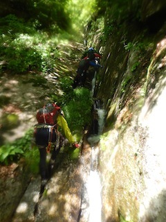 c0359615_21531320.jpg