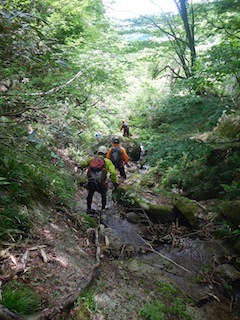 c0359615_21553693.jpg