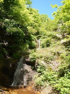 c0359615_21555550.jpg