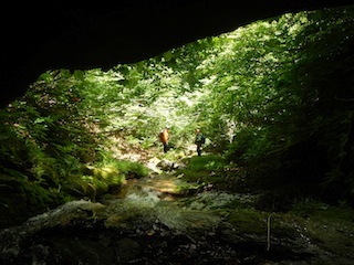 c0359615_21560944.jpg
