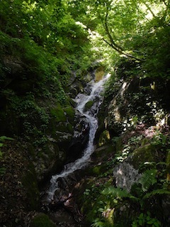 c0359615_21562478.jpg