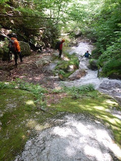 c0359615_21564098.jpg