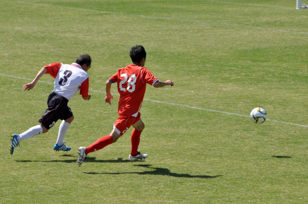 d0072720_23383843.jpg