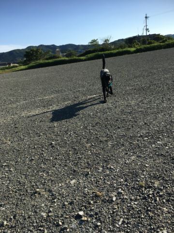 c0114121_2213910.jpg