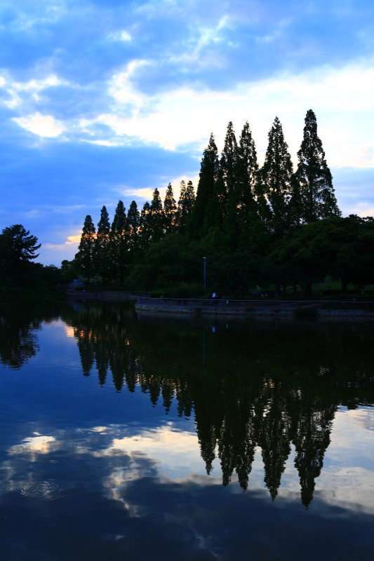 f0209122_17555997.jpg