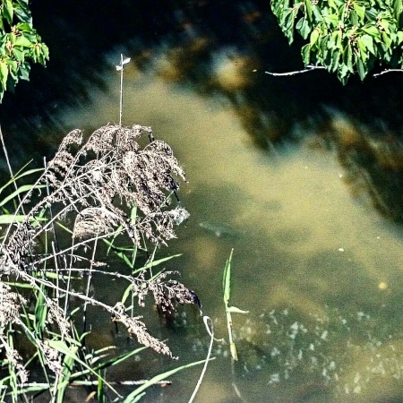 b0259124_07182991.jpg