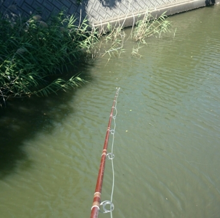 b0259124_08255858.jpg
