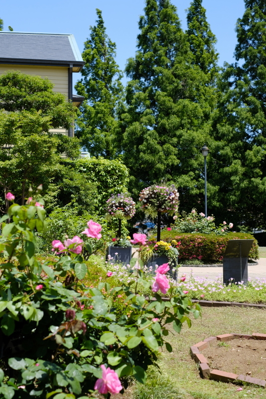 f0358531_13562721.jpg