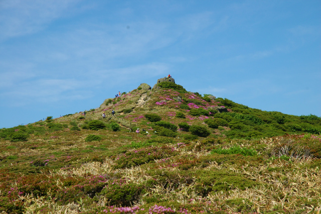 e0272335_810139.jpg