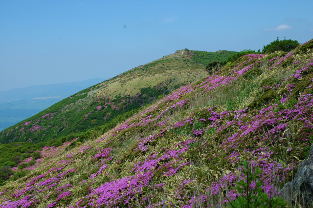 e0272335_8214849.jpg