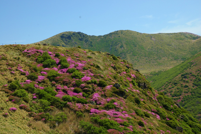 e0272335_862950.jpg