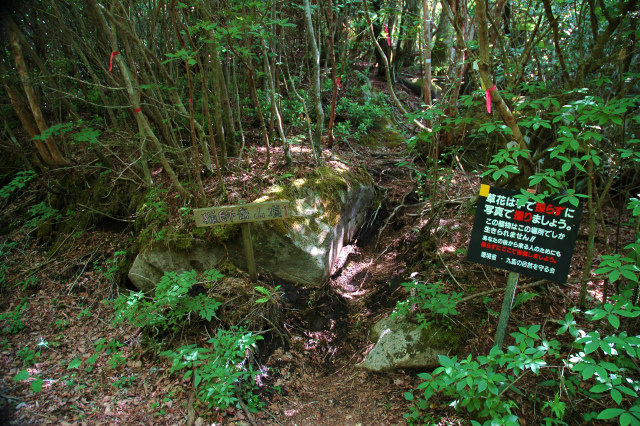 e0272335_9445539.jpg