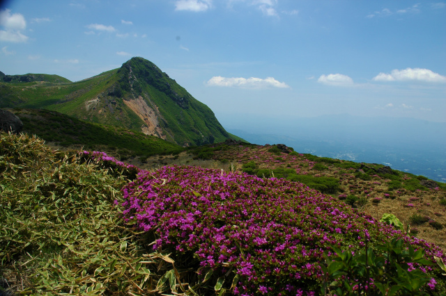 e0272335_952766.jpg