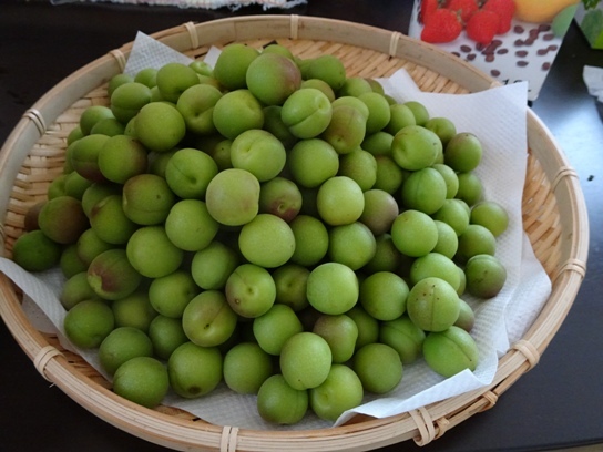f0368538_11213178.jpg