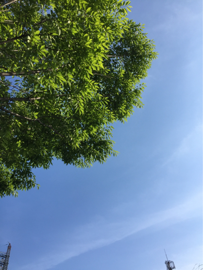f0214139_14364207.jpg