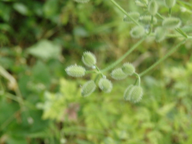 a0054240_21511952.jpg