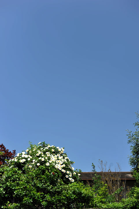 b0075541_2283433.jpg