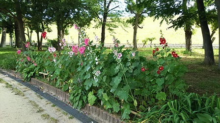 b0080342_10080434.jpg