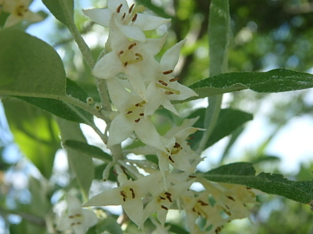 f0334143_8315591.jpg