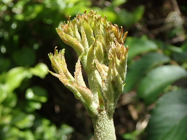 f0334143_8344024.jpg