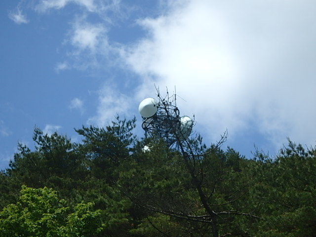 f0334143_837160.jpg