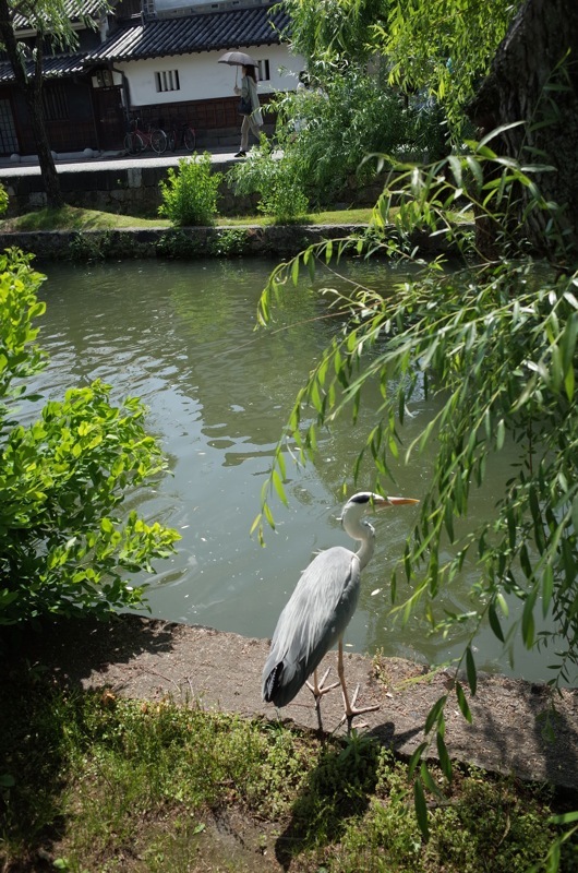 f0169147_20300567.jpg