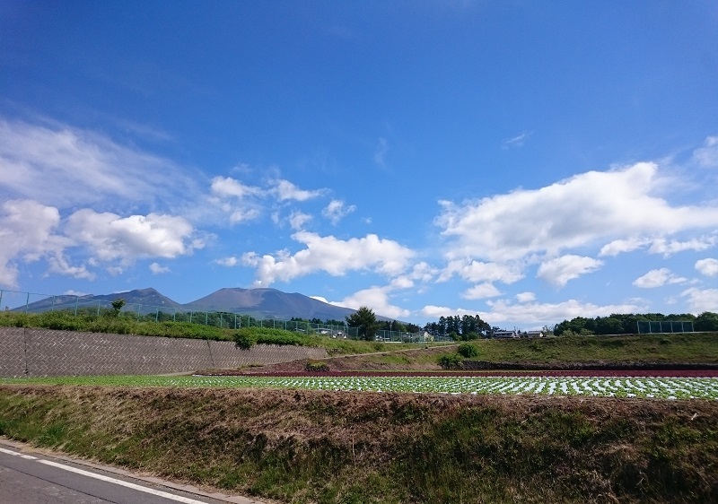 d0306248_22052101.jpg