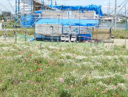 e0172950_20491271.jpg