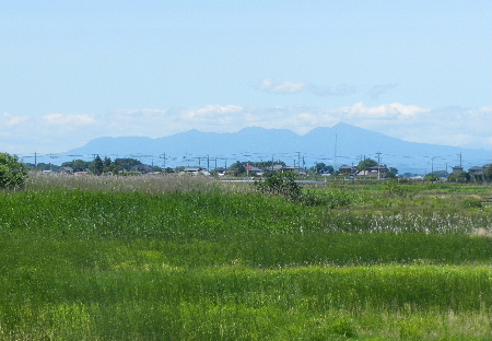 e0172950_2051415.jpg