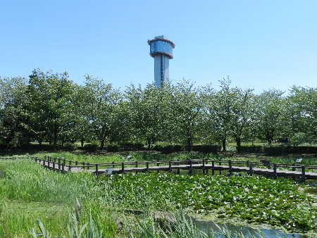 e0172950_20532476.jpg