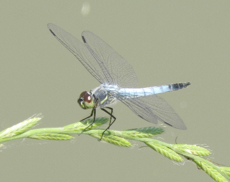 e0172950_20542712.jpg