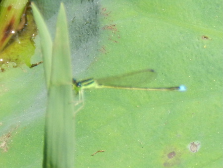 e0172950_20551843.jpg