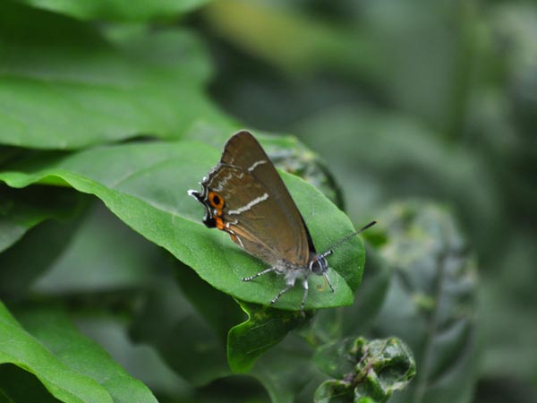 c0045352_7384020.jpg