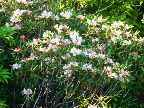 b0160957_09251571.jpg