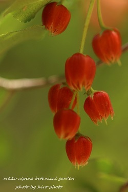 b0328557_20242617.jpg