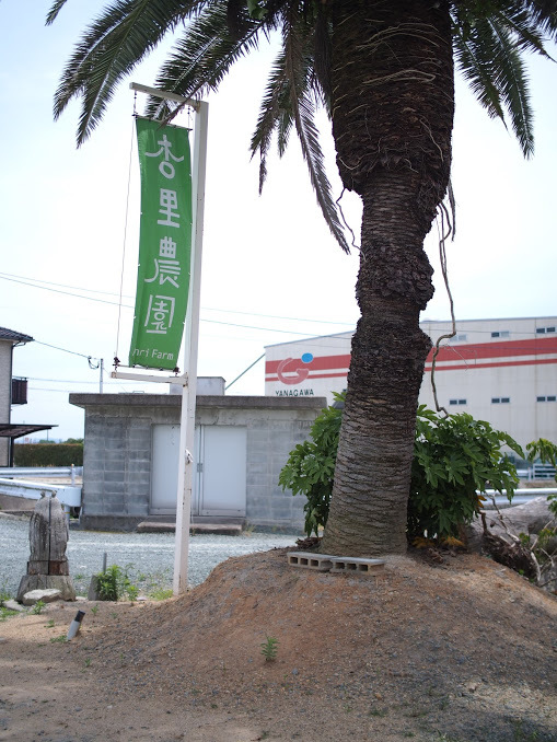 f0201157_23575166.jpg