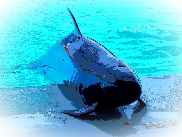 c0186760_08103699.jpg