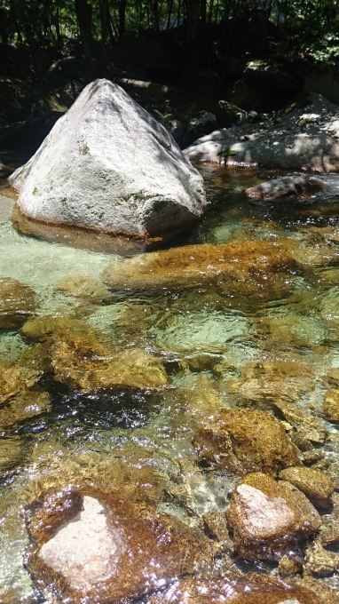 b0304662_11511620.jpg