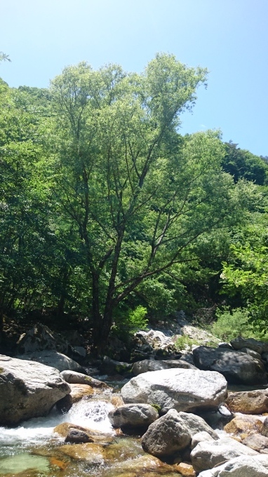 b0304662_11520653.jpg