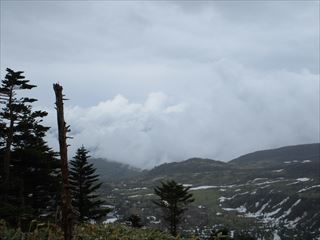 d0045362_09541168.jpg