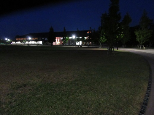 f0113862_16281088.jpg