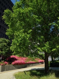b0160363_23475026.jpg
